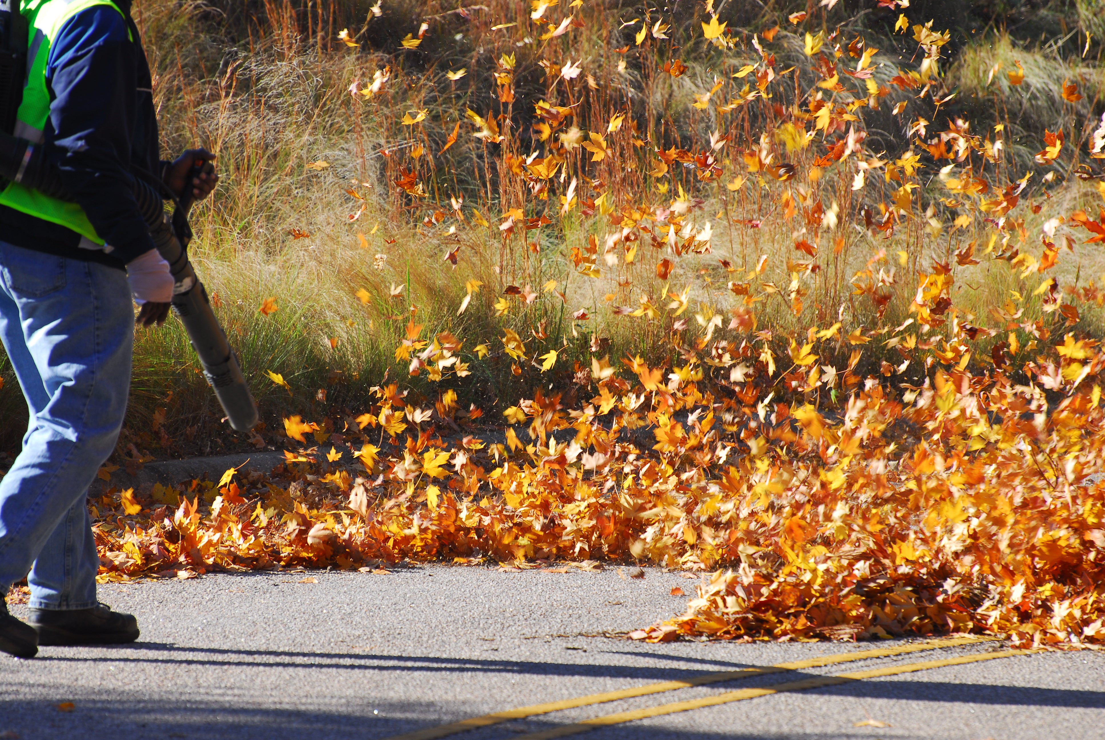 Man using an industrial leaf blower on autumn leaves. Schröder USA