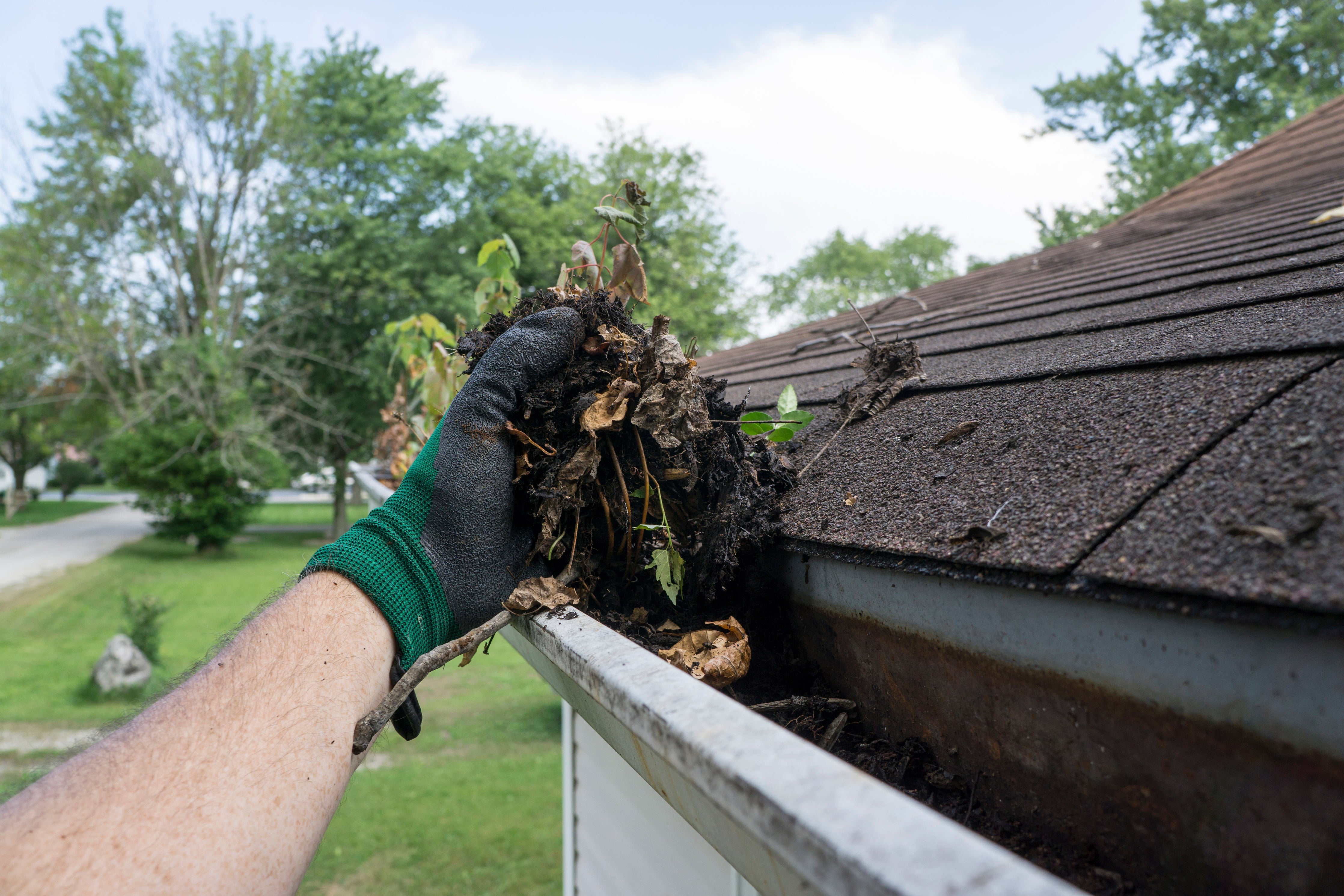 Cleaning Gutters with a back pack leaf blower to remove dirt and leaves. Schröder USA