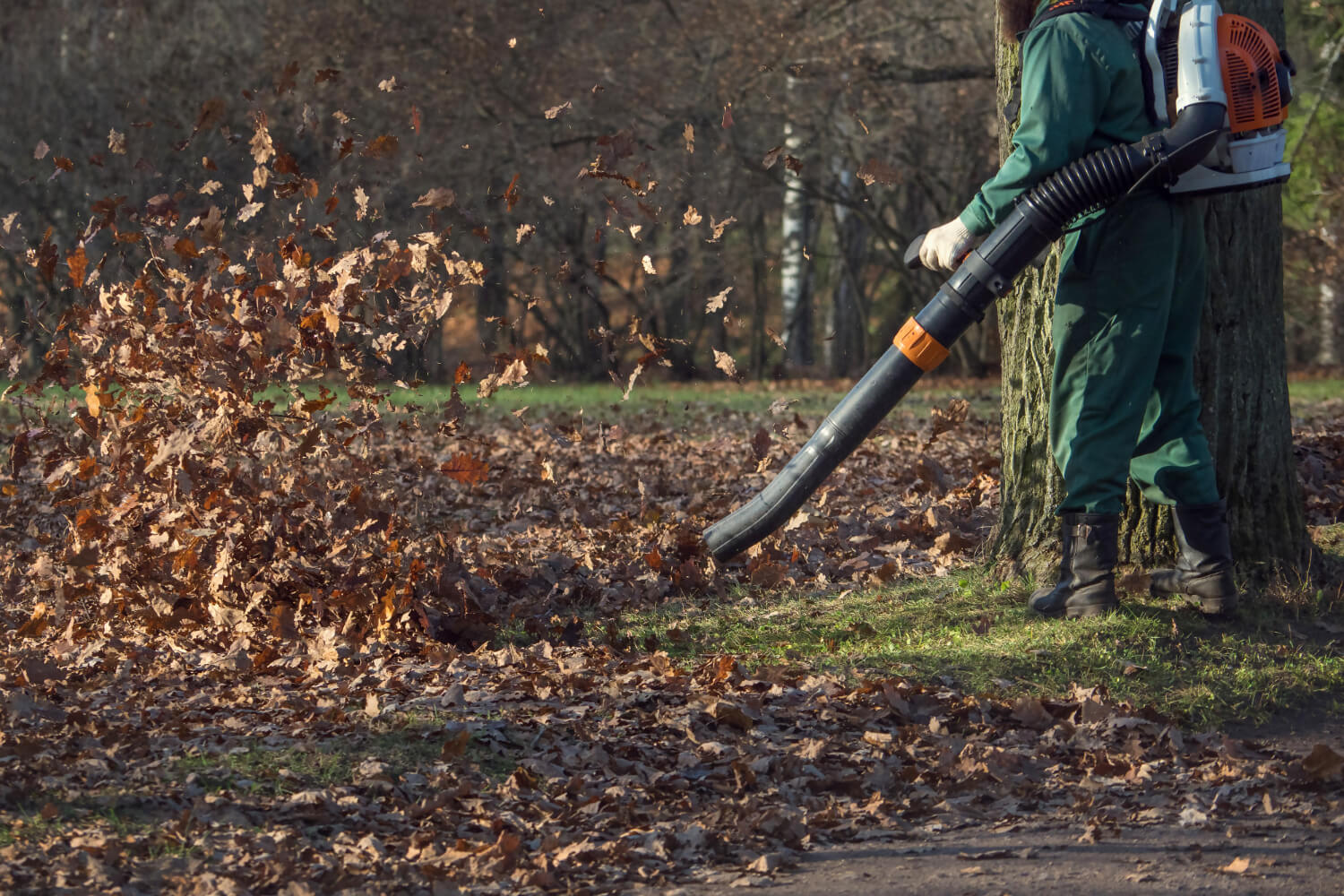 Why the Schröder SR-6400L is the Best Backpack Leaf Blower in 2025