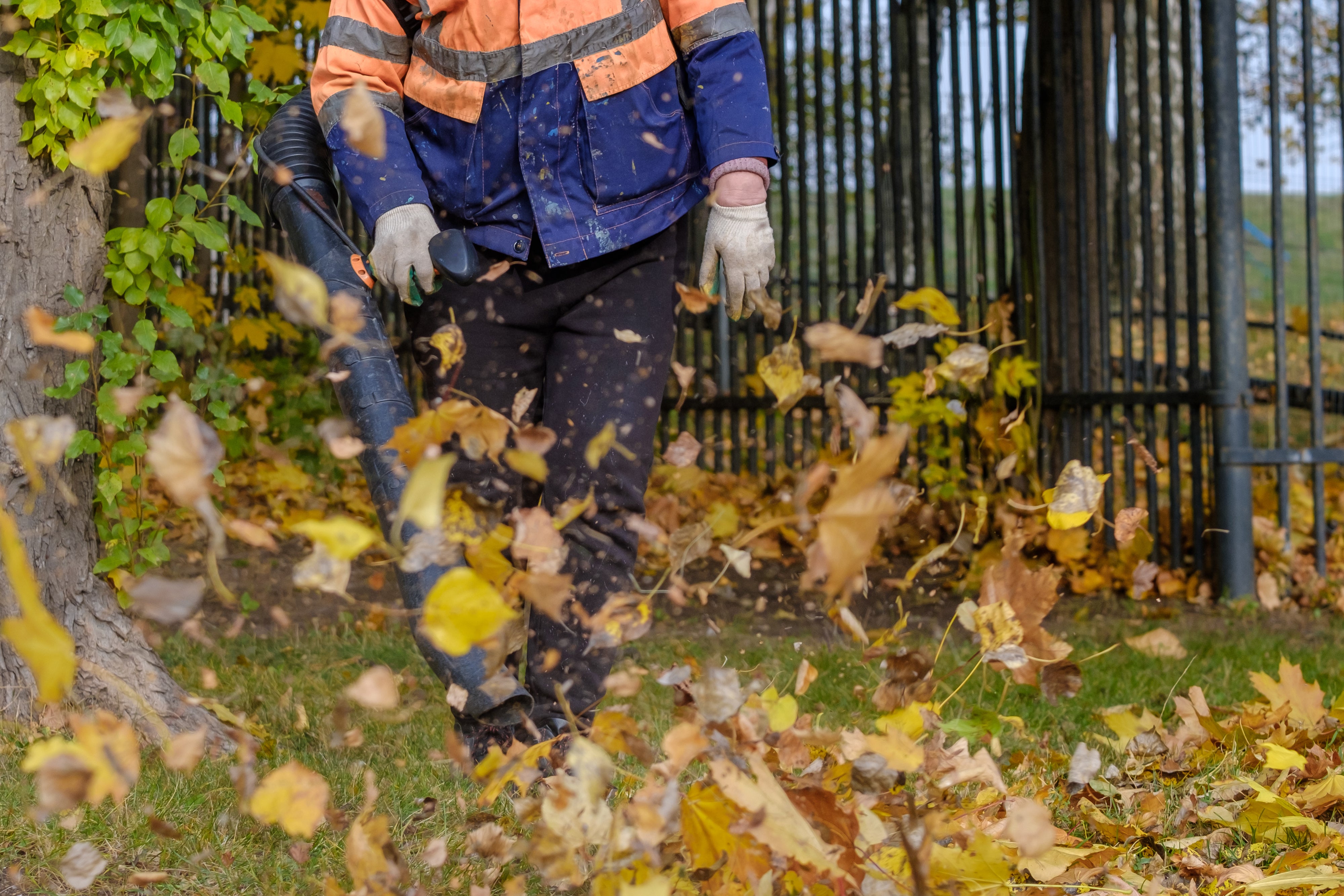 Get simple leaf blower repair information at Schröder USA 