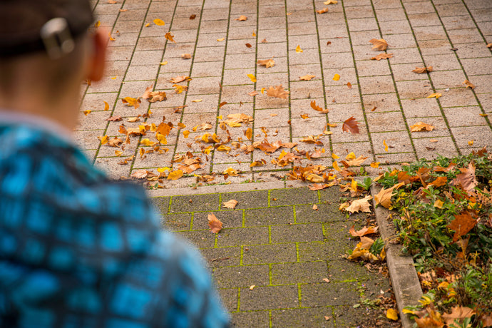8 Surprising Ways You Can Use a Backpack Leaf Blower