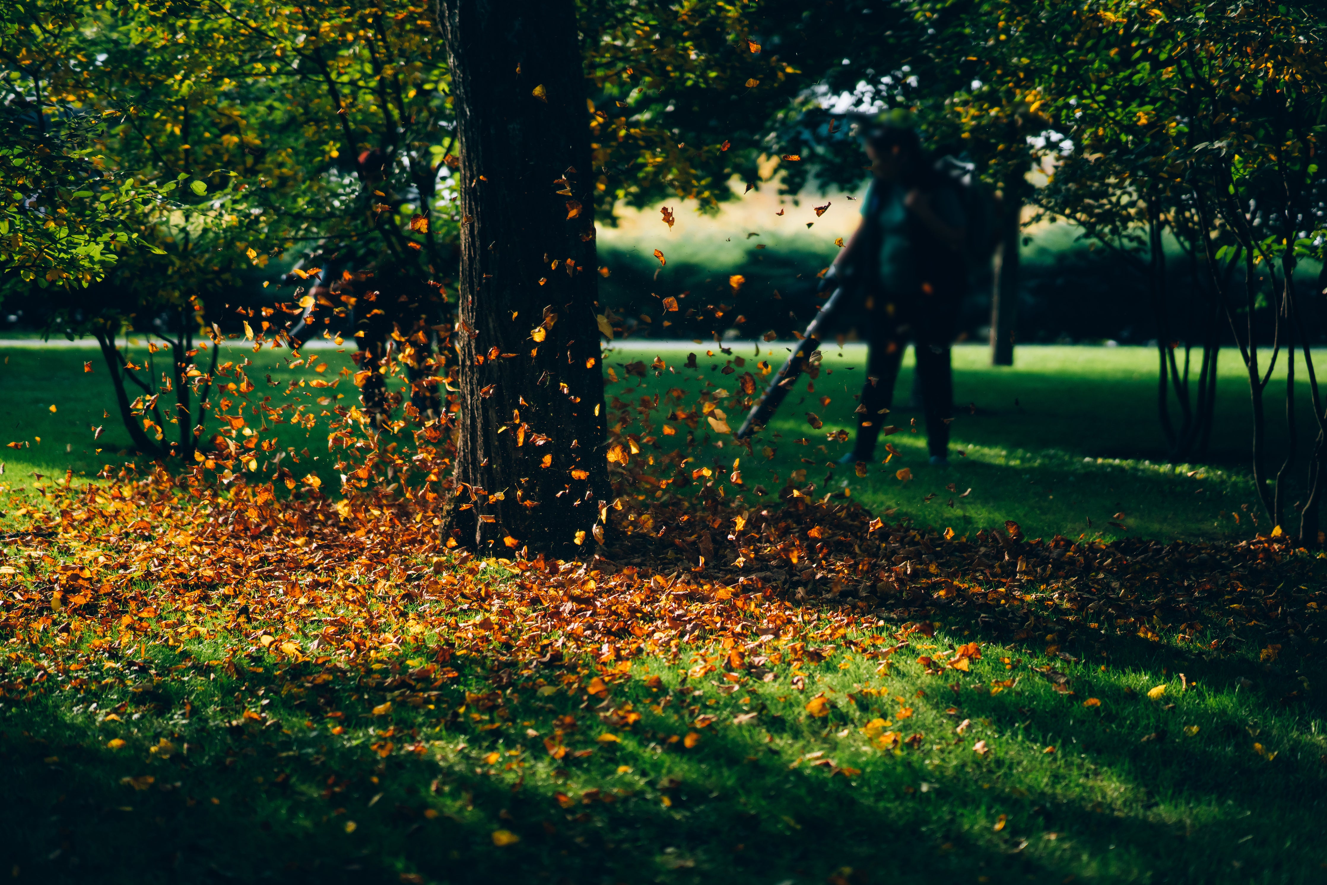 The best Gas-oil mix for your leaf blower. Schröder USA