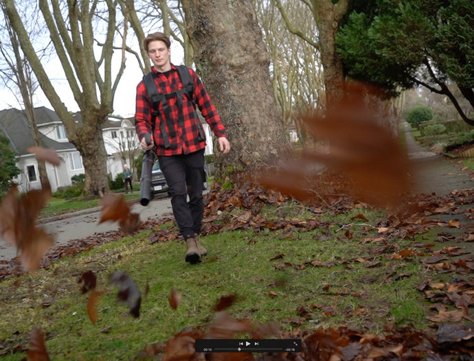 Will a leaf blower work on wet leaves?