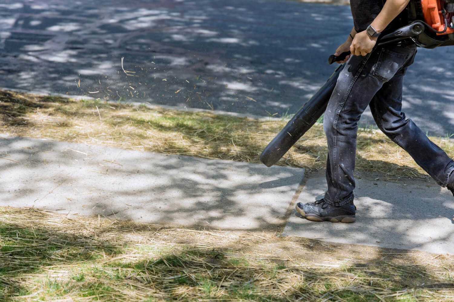 Side-by-side comparison of Schröder backpack leaf blowers for homeowners and professionals