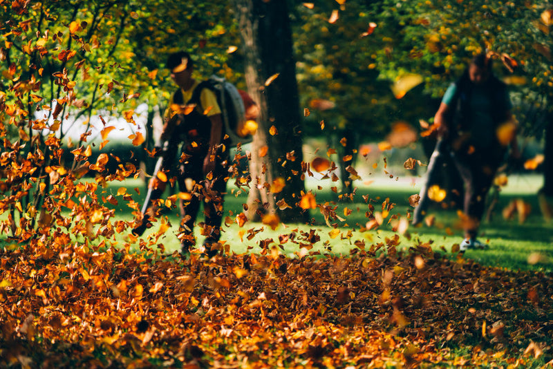 Backpack Leaf Blower: The Ultimate Guide to Powerful Yard Cleanup ...