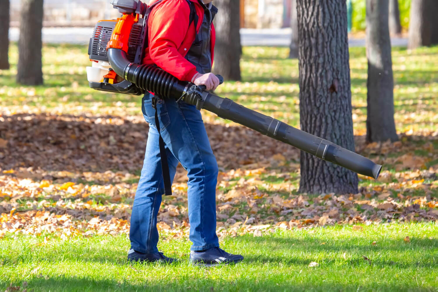 The Ultimate Guide to Choosing the Best Backpack Leaf Blower in 2025