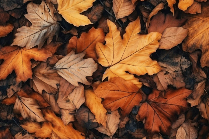 The Best Leaf Blower for Homeowners vs Professionals in 2025: A Complete Buyer’s Guide